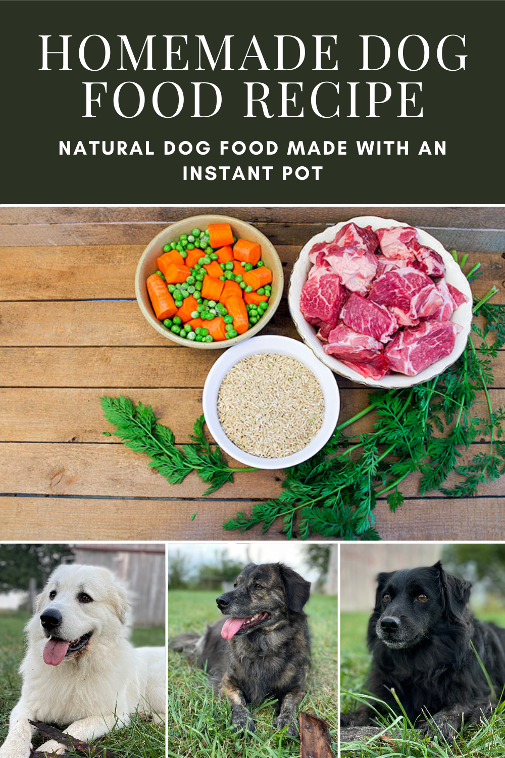 13 Balanced Homemade Dog Food Recipes – Top Dog Tips