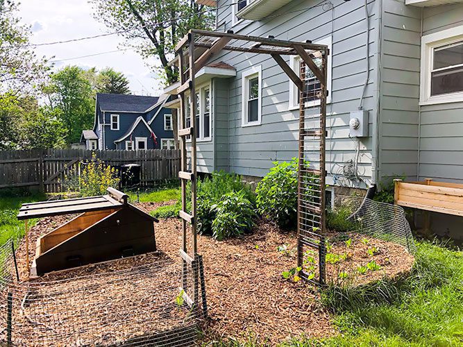 DIY Garden Trellis: Using an Old Barn Ladder