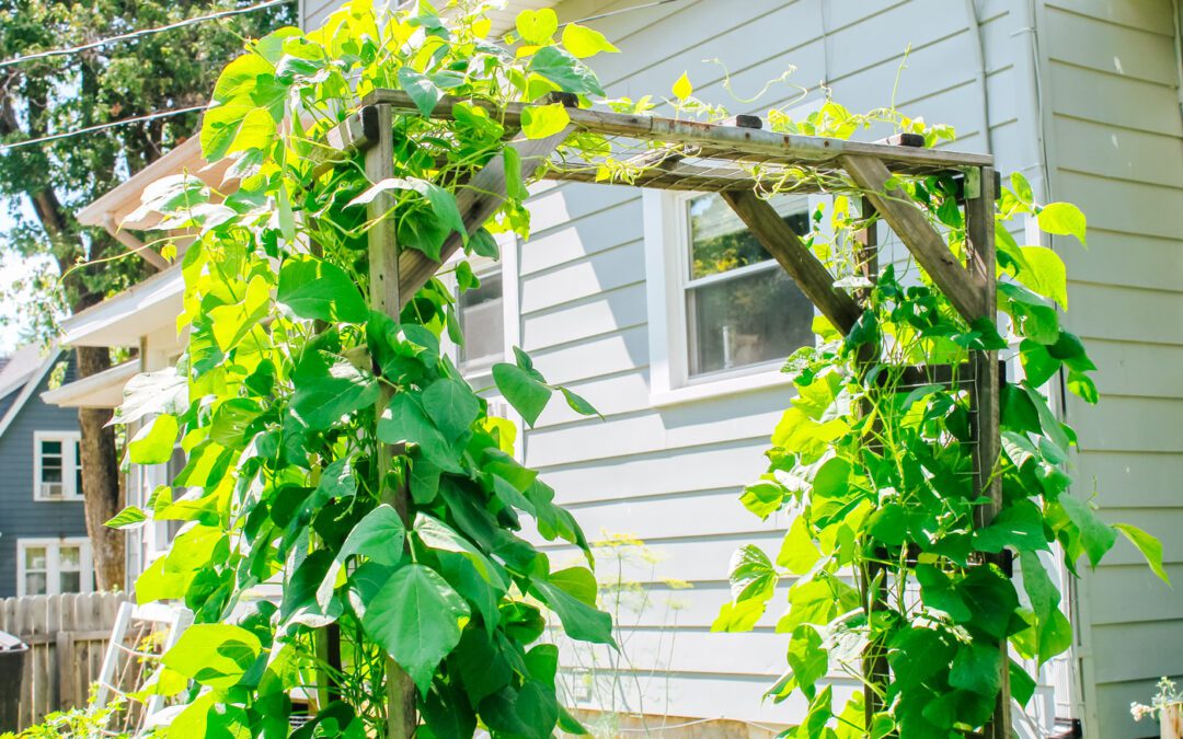 DIY Garden Trellis Tutorial