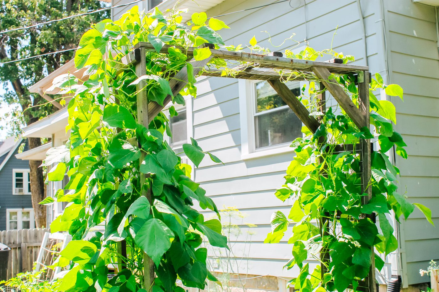 DIY Garden Trellis Tutorial