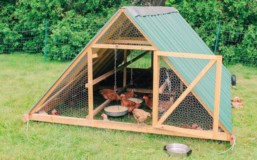 How to Build a Mobile Chicken Tractor