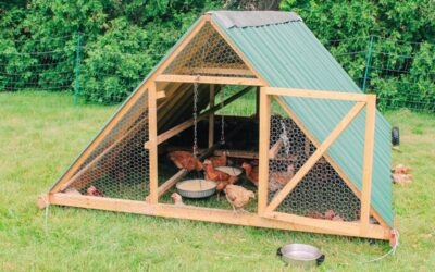 Building a Mobile A-Frame Chicken Tractor