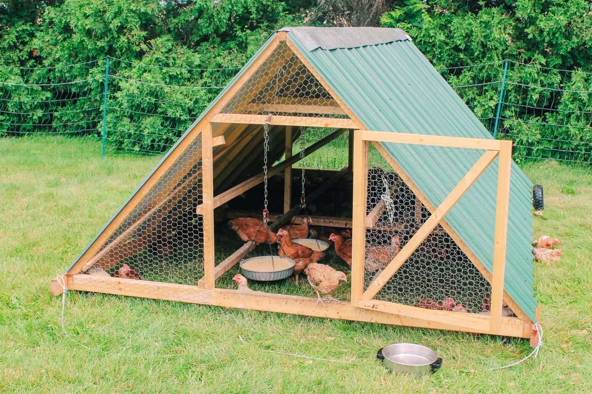 How To Build A Mobile Chicken Tractor Mobile Chicken Tractor Plans