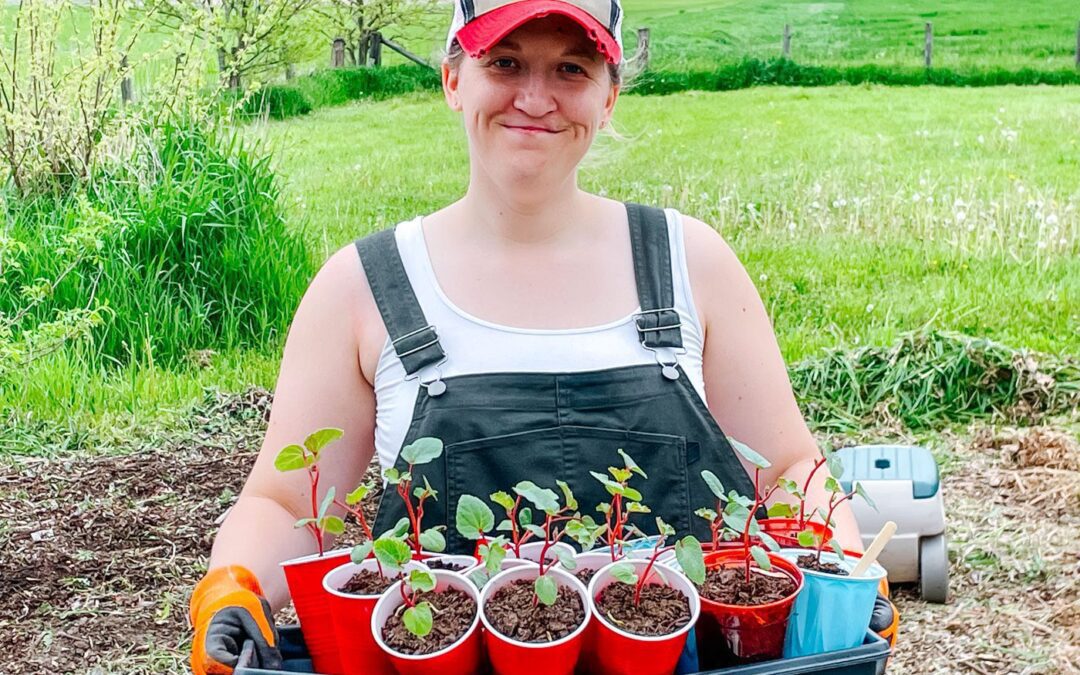 5 Benefits of Growing Your Own Food