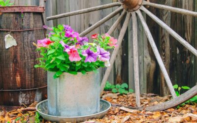 Farmhouse Decor: Chicken Waterer Planter