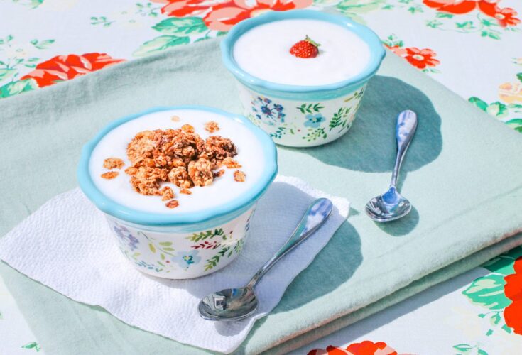 How to Make Homemade Yogurt