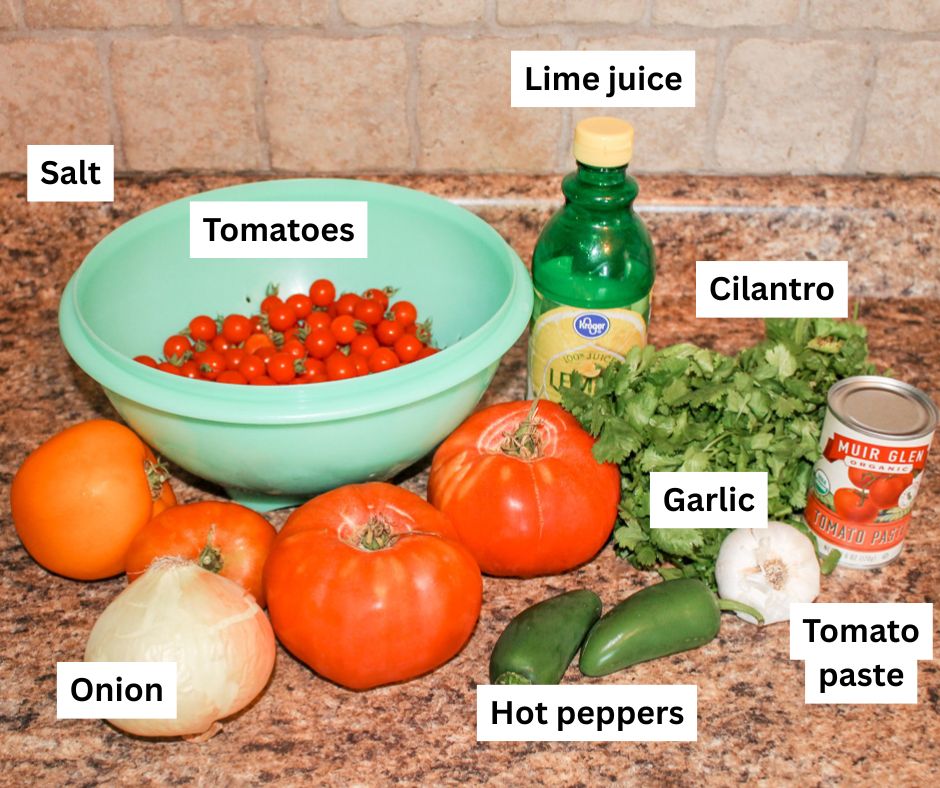 tomatoes, garlic, peppers, lime juice, onion, cilantro, garlic and a can of tomato paste on a countertop