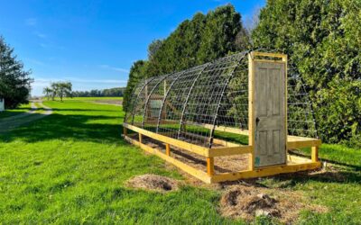 Building a Cattle Panel Greenhouse