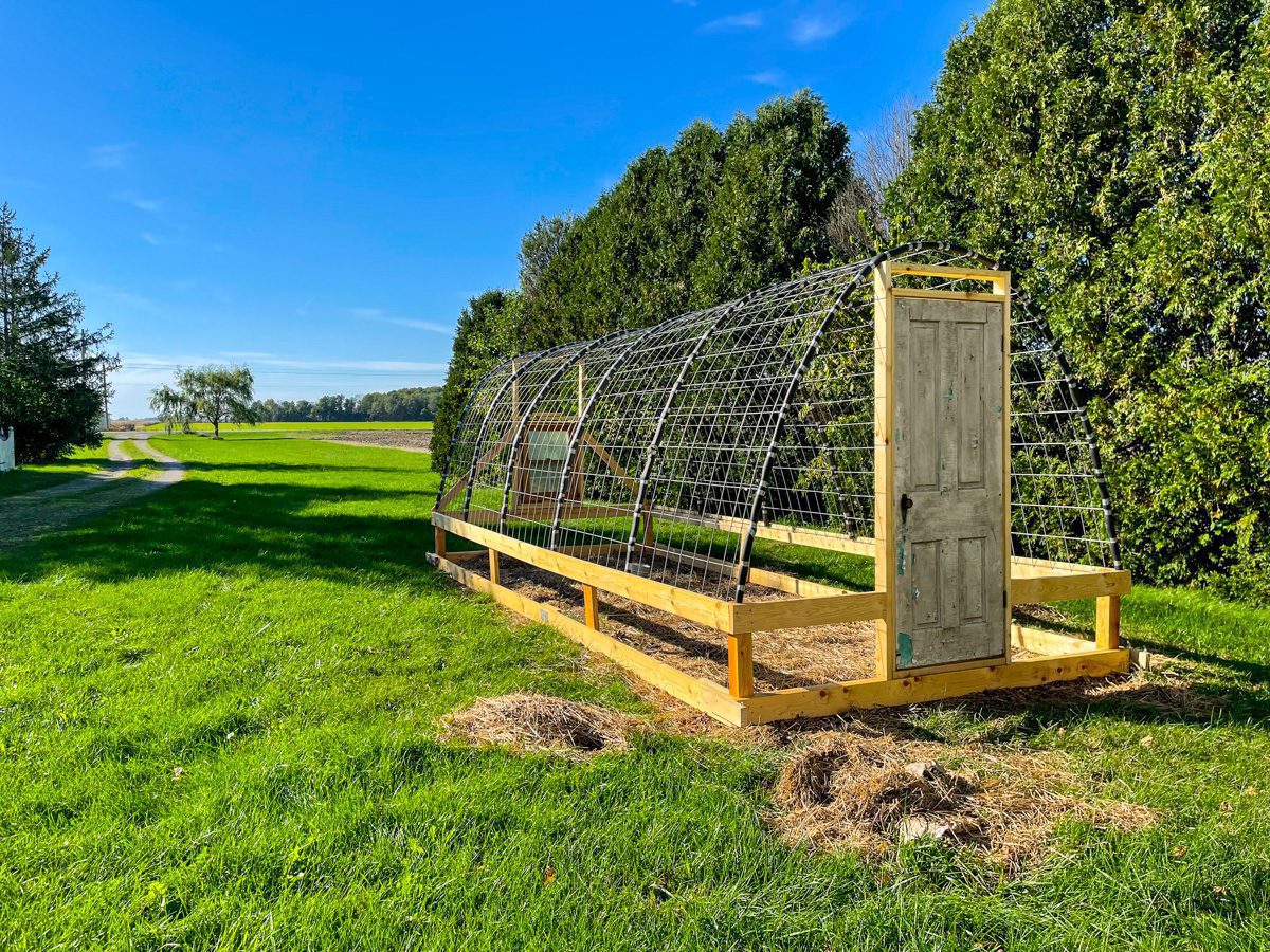 diy greenhouse sitting in the grass next to some trees