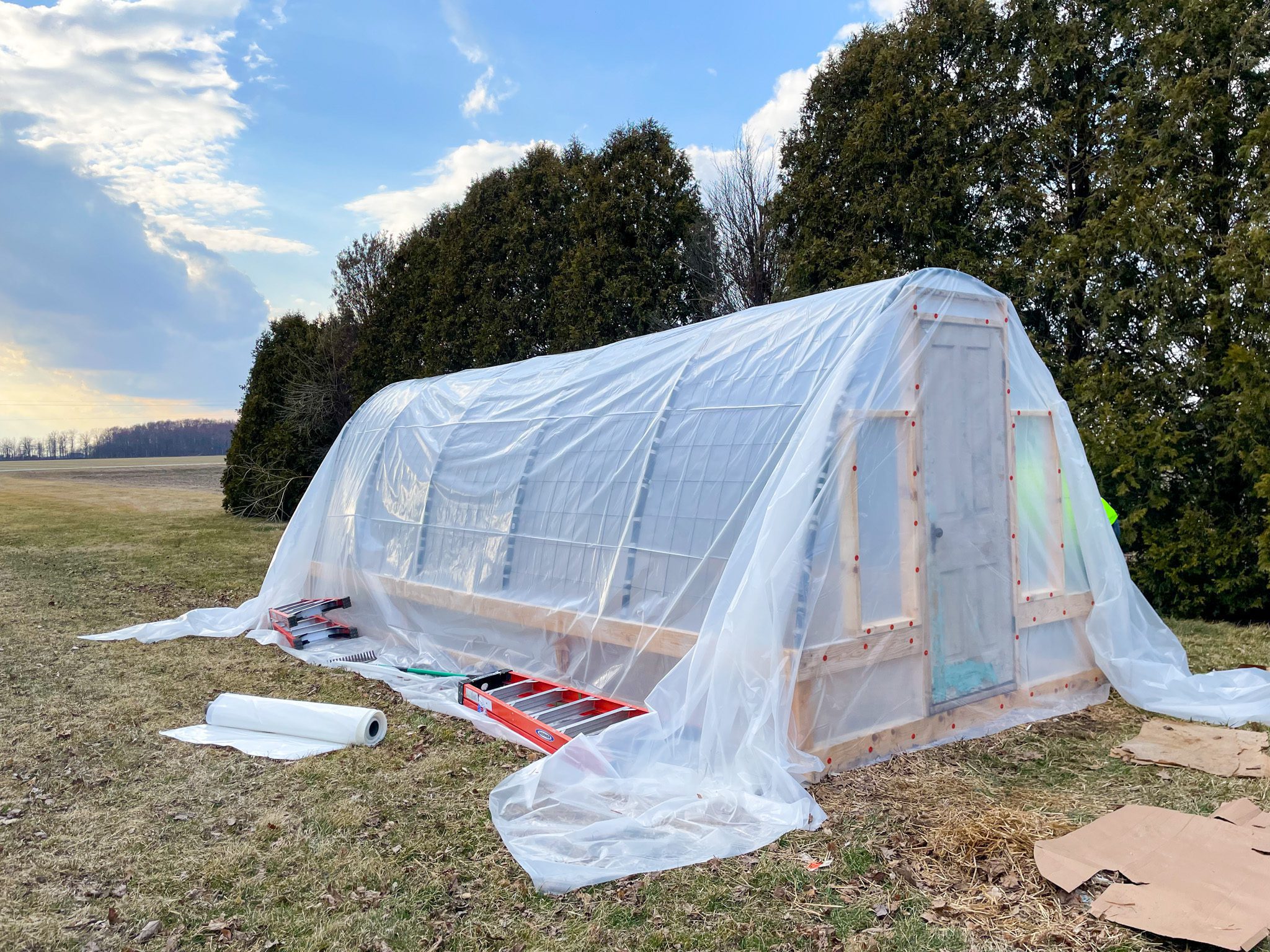 cattle panel greenhouse is being draped in plastic to give it a covering