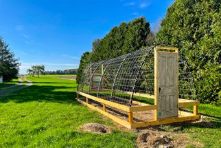 Building a Cattle Panel Greenhouse