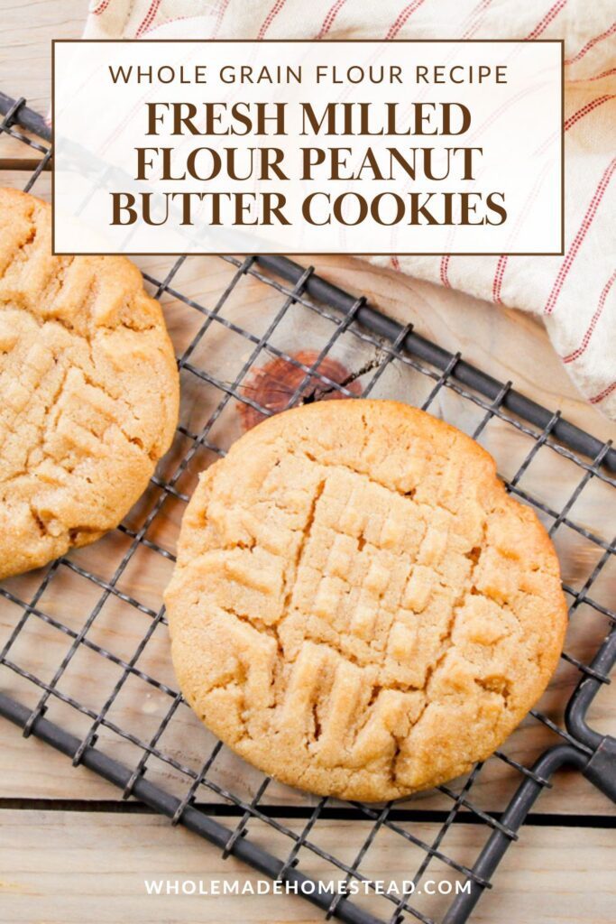 pinterest graphic displaying photo of fresh milled flour peanut butter cookies