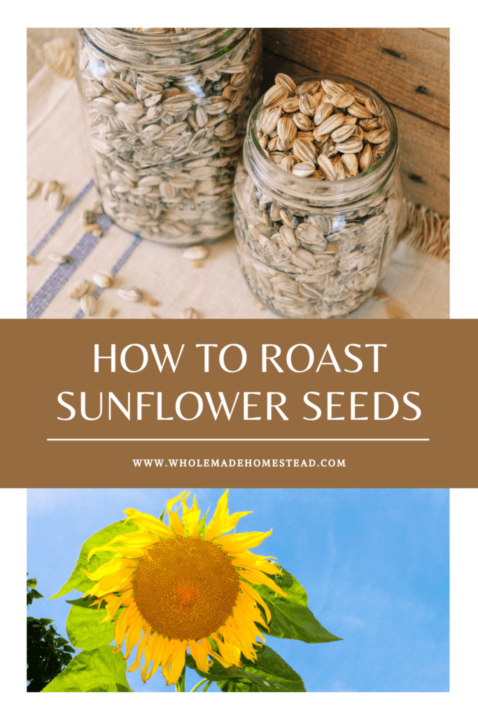 How to Roast Sunflower Seeds - WholeMade Homestead