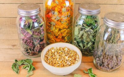 How to Create a Natural Medicine Cabinet
