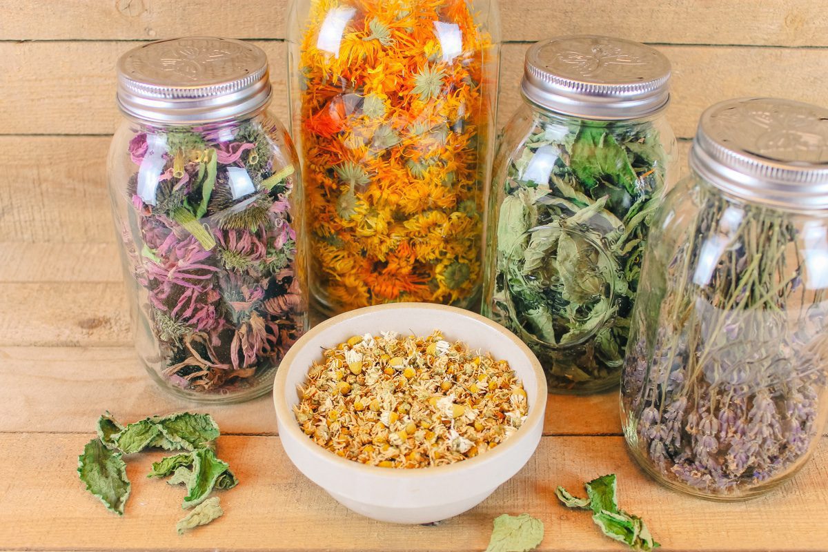 How to Create a Natural Medicine Cabinet