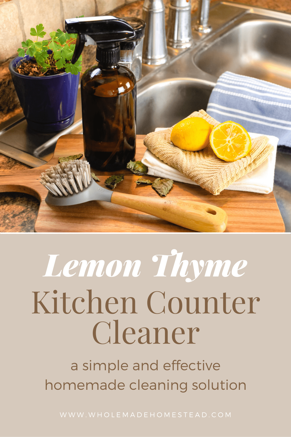 Lemon Thyme: How To Use It In The Kitchen
