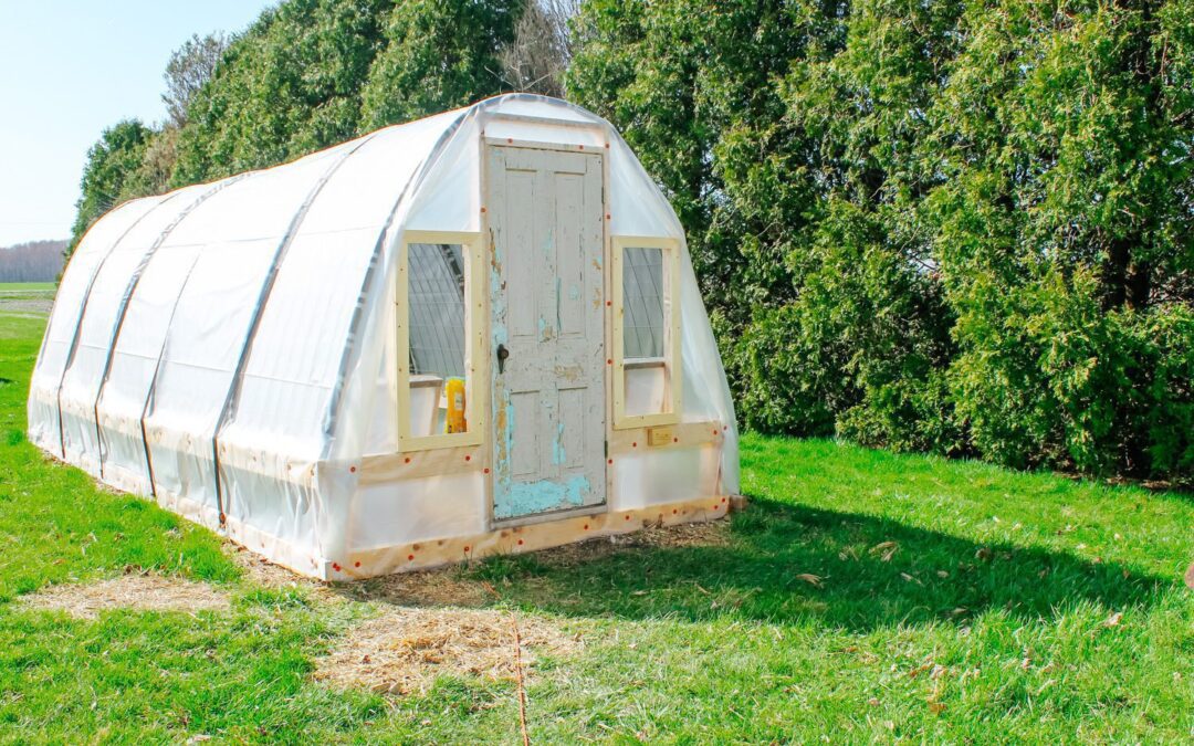 How to Use a Greenhouse to Increase Food Security
