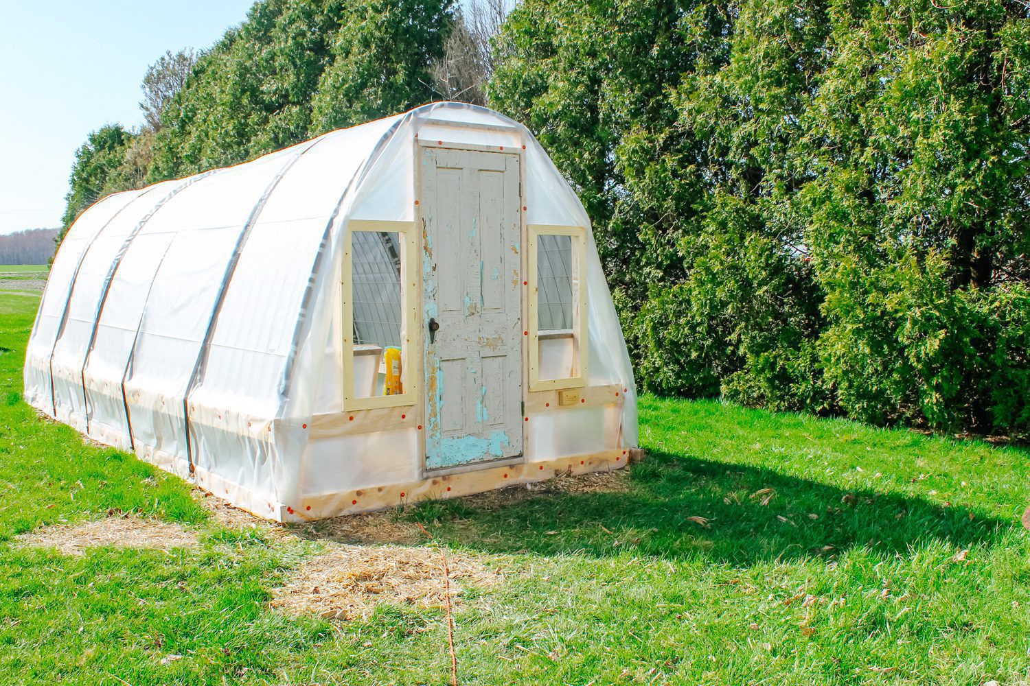 homemade greenhouse sitting in the sunshine on a patch of green grass