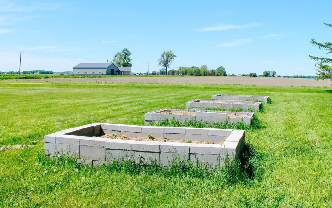 How to Build a DIY Cinder Block Raised Garden Bed