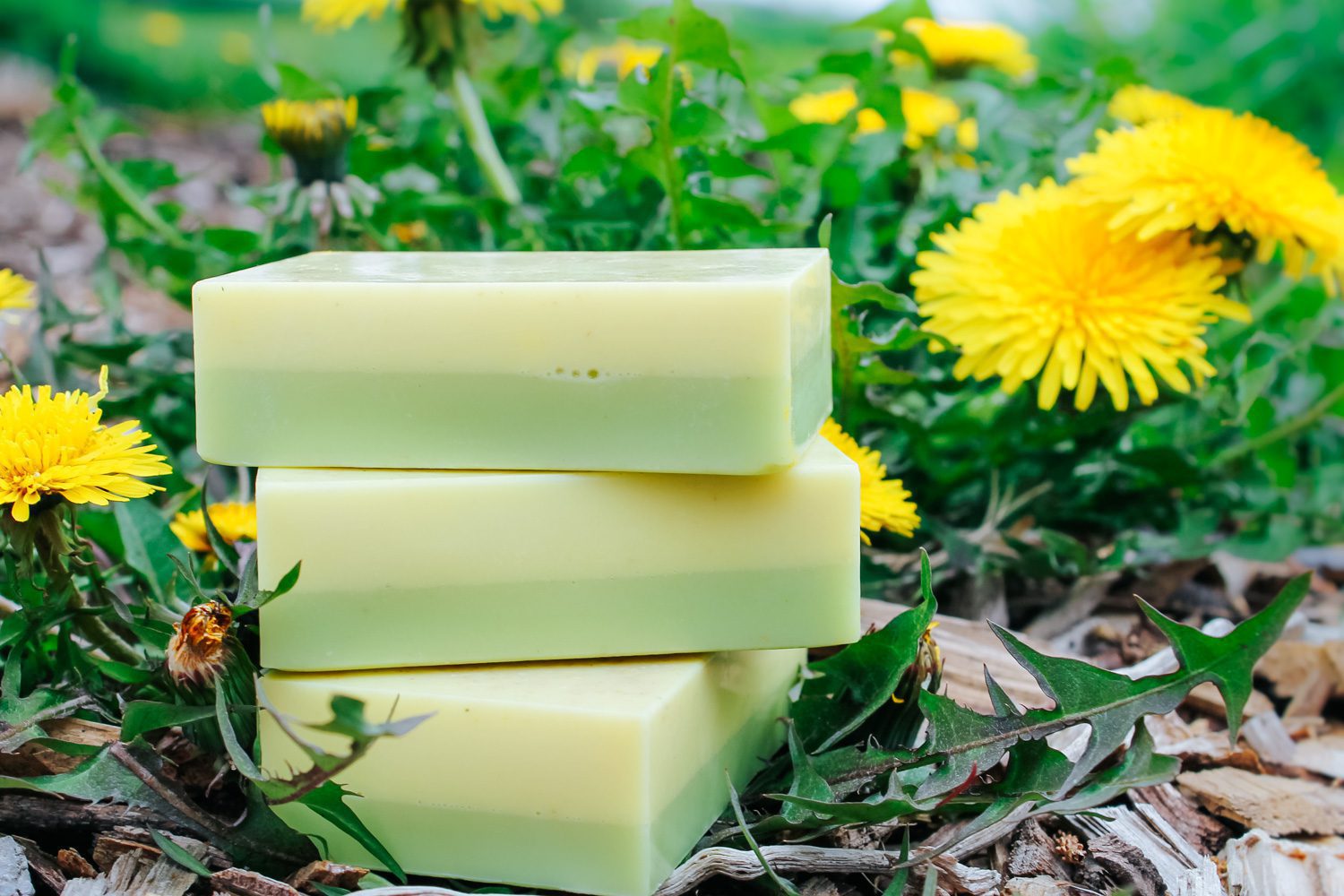 Gardener’s Soap