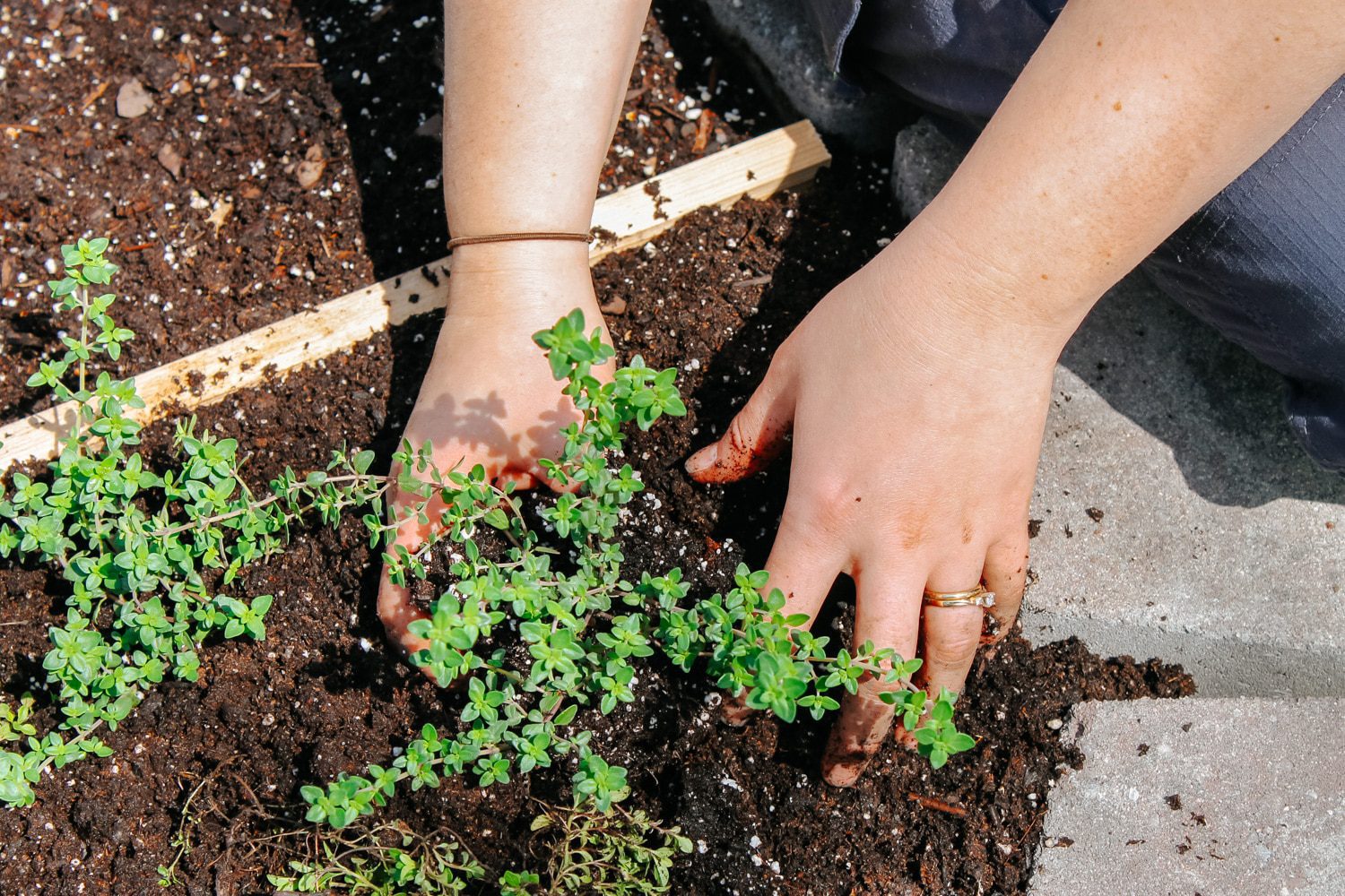 An Easy Raised Herb Garden Made with Soil Bags - Millcreek Garden