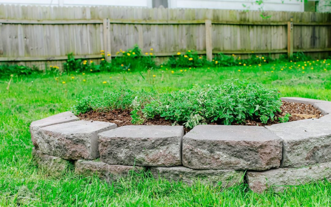 How to Build a Raised Herb Garden