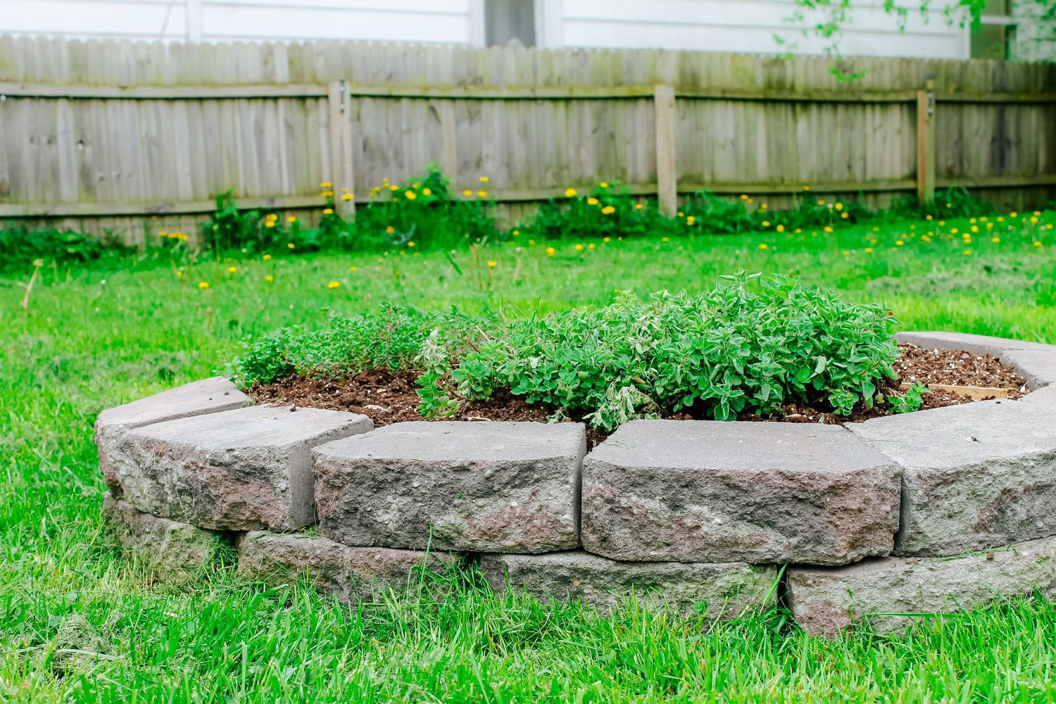 How to Build a Raised Herb Garden