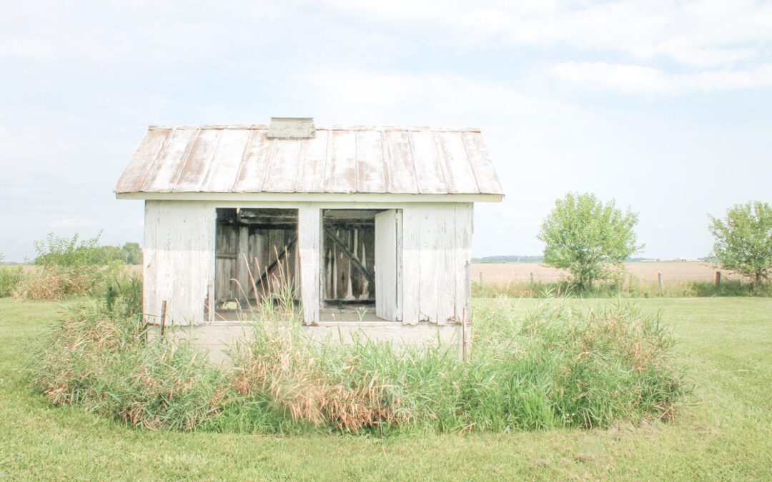How to Start a Homestead in a Small Space