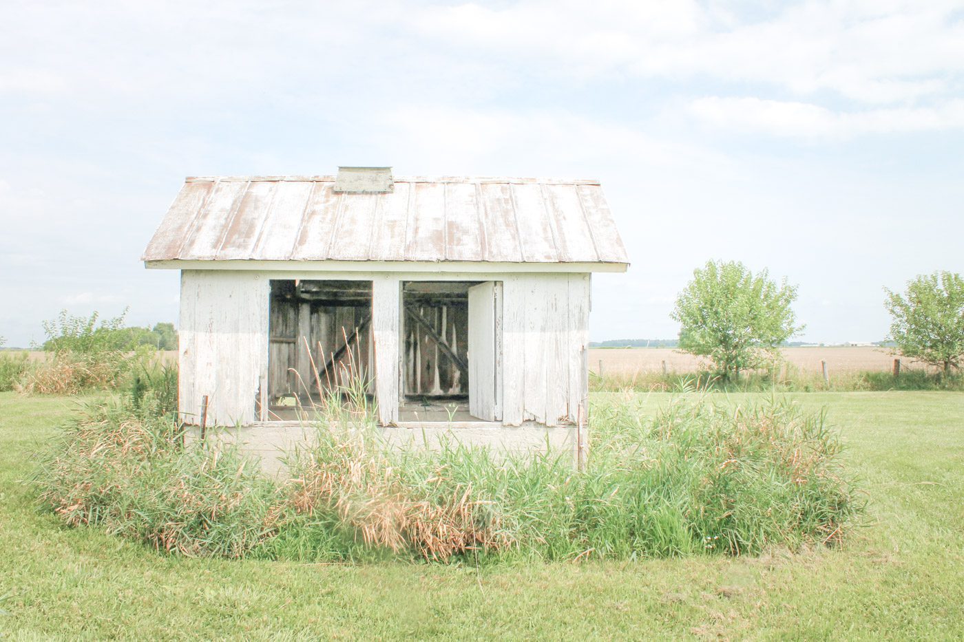 How to Start a Homestead in a Small Space