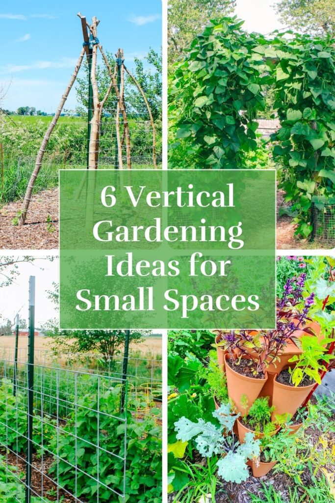pinterest graphic displaying four photographs of vertical gardening ideas