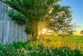 The Divine Gardener