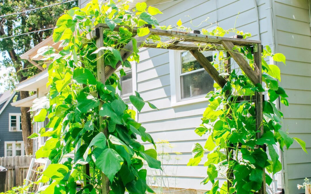 6 Vertical Gardening Ideas for Small Spaces