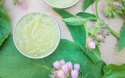 Comfrey Healing Balm