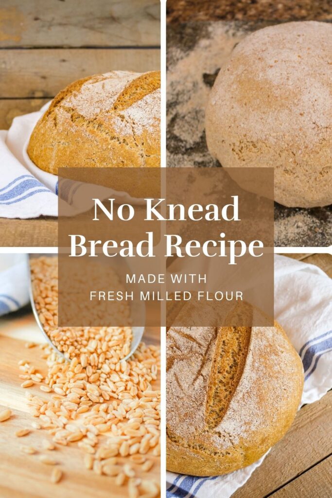 pinterest graphic displaying 4 photos of bread made with freshly milled flour