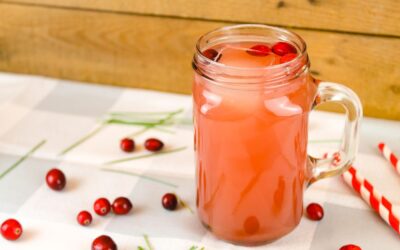 Cranberry Orange Spice Whey Soda