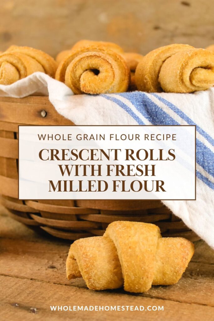 pinterest graphic displaying a basket of whole grain rolls