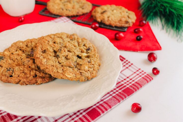Cranberry White Chocolate Oatmeal Cookie