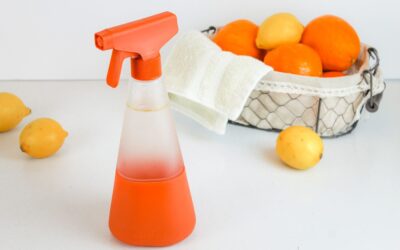 DIY All-Purpose Cleaning Spray