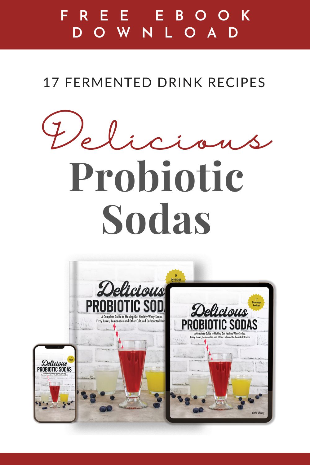 pinterest graphic featuring the cover of a free ebook about making probiotic soda at home