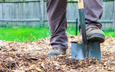 9 Benefits of Using Mulch in the Garden