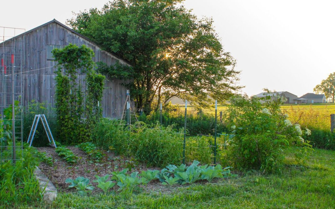 8 Ways to Naturally Control Weeds