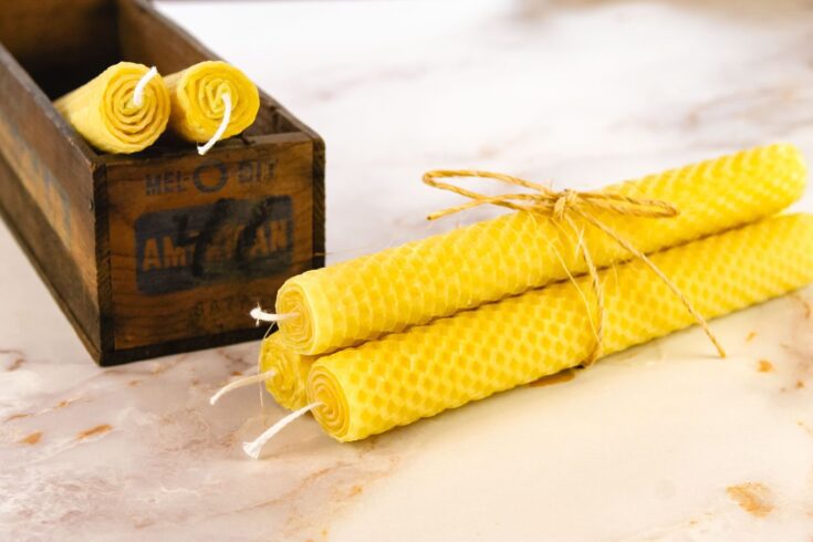 5 beeswax rolled candles. 2 sit inside a wooden box while the other 3 are tied together with a piece of twine