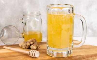 Fermented Ginger Ale Recipe