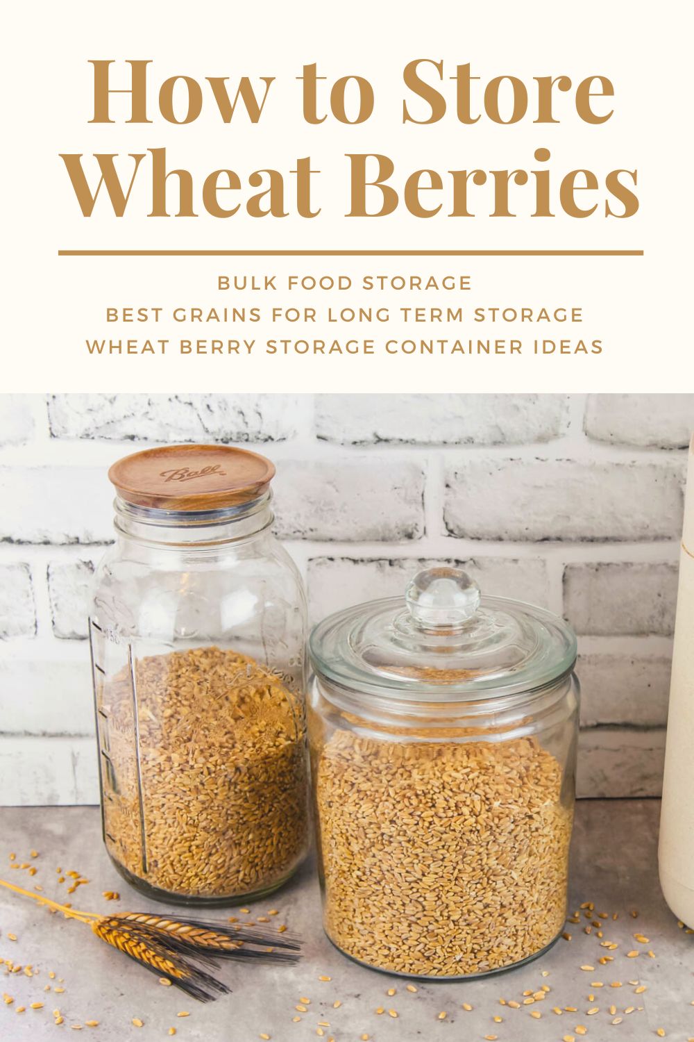 multiple wheat berry storage containers sit on a kitchen countertop
