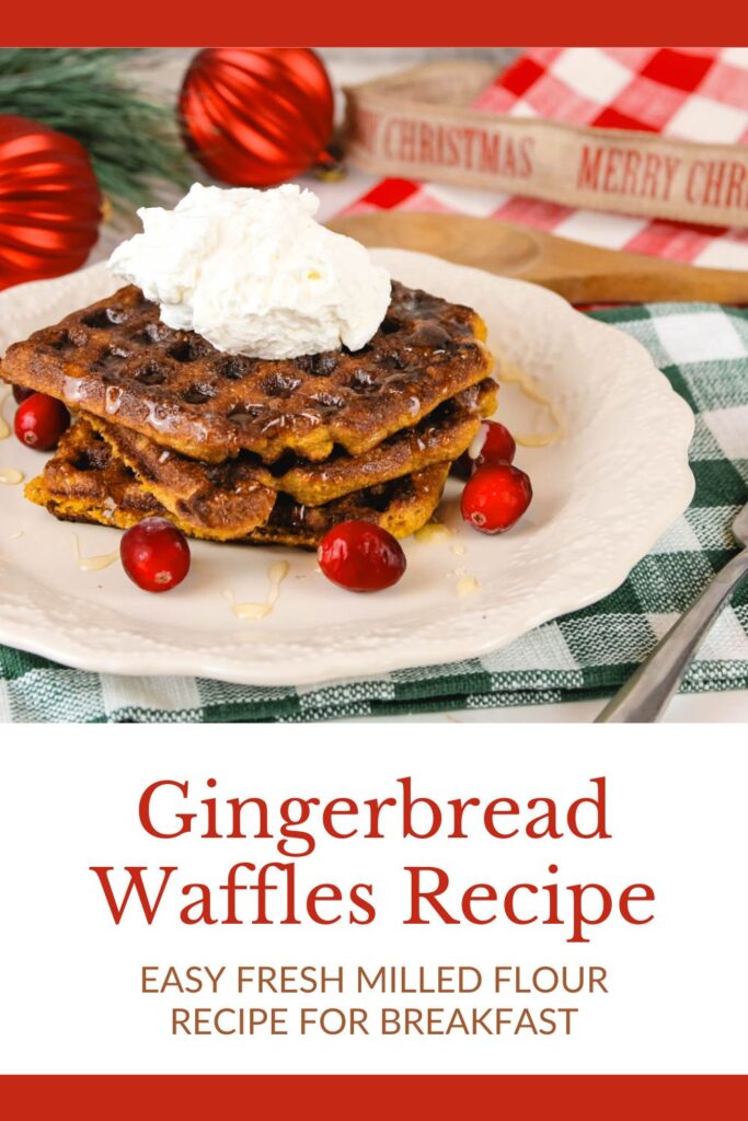 red and white graphic displaying photo of a homemade waffle recipe