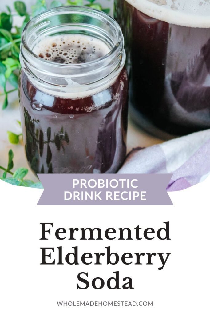 pinterest graphic displayed a glass of elderberry whey soda