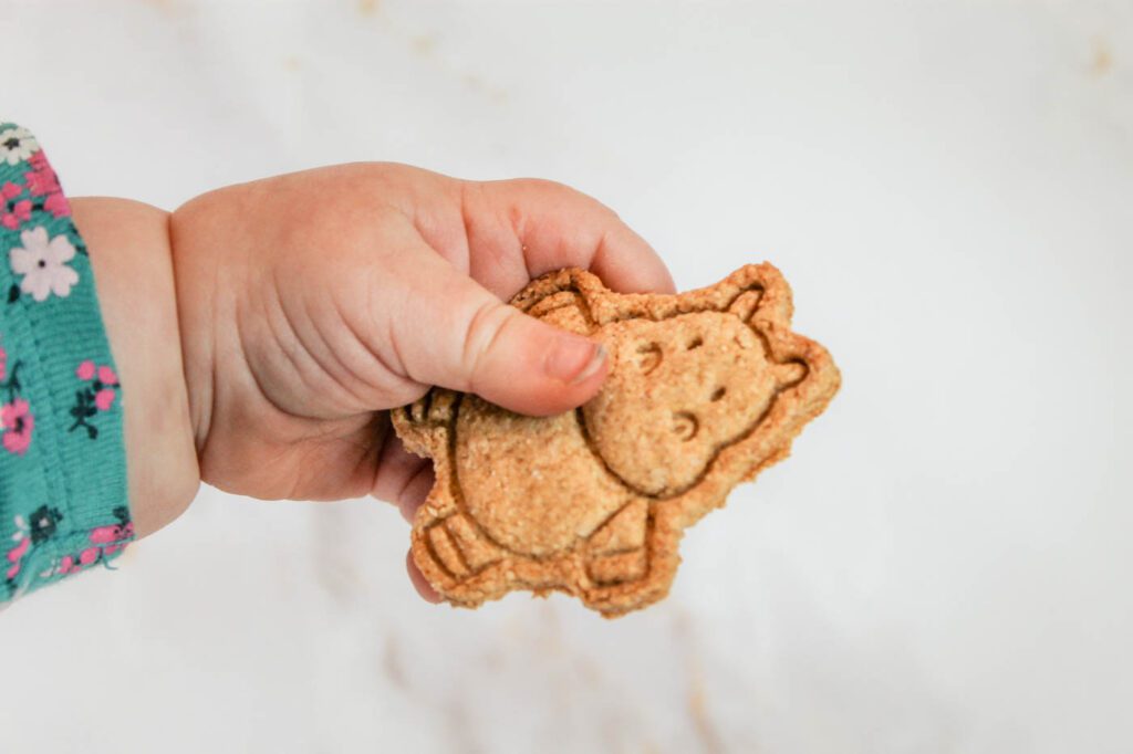 a child's hand holding a cookie shaped like a hippo