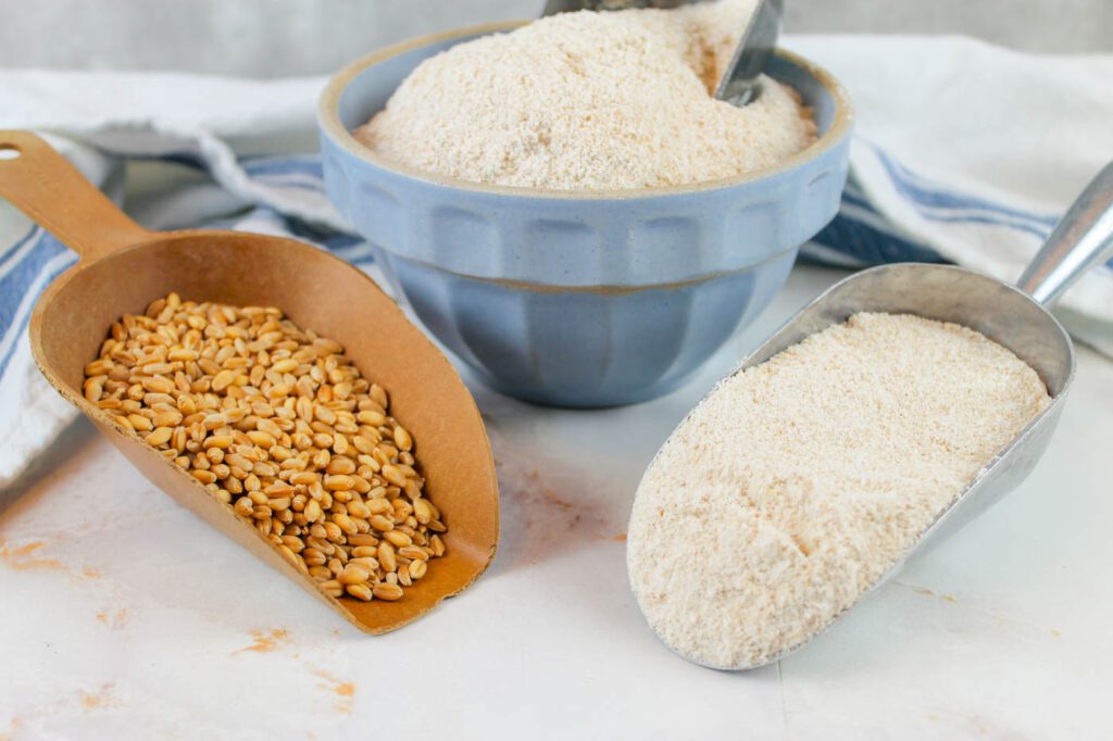 two scoops on a countertop, one filled with wheat berries, the other filled with fresh ground flour