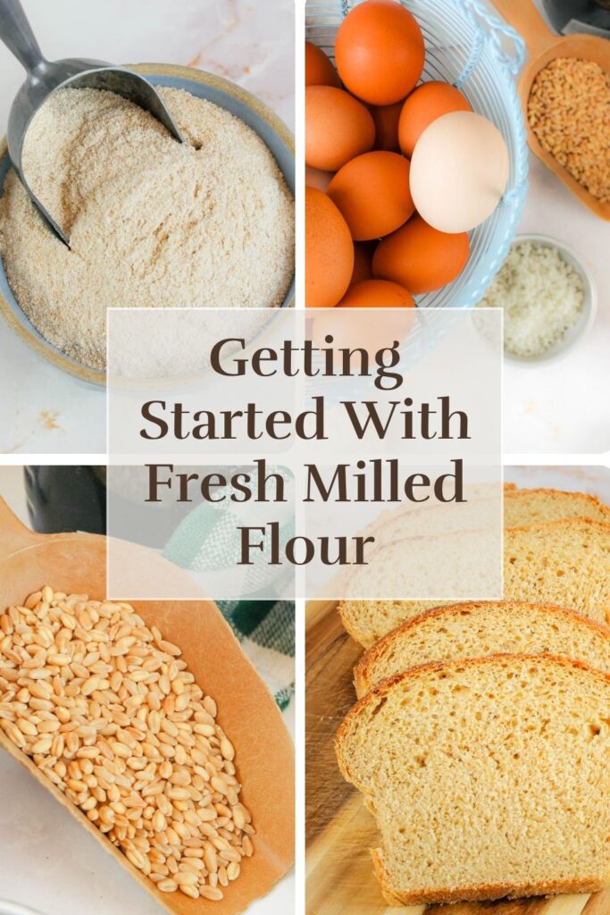 a pinterest graphic displaying photos of how to get started milling your own flour at home