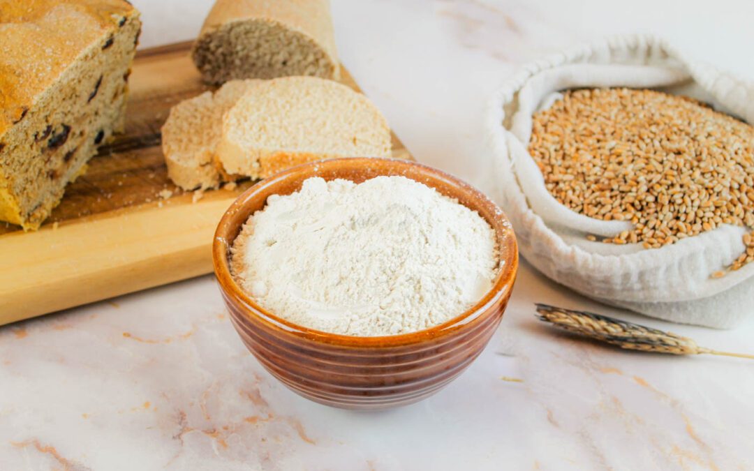 What is Vital Wheat Gluten?